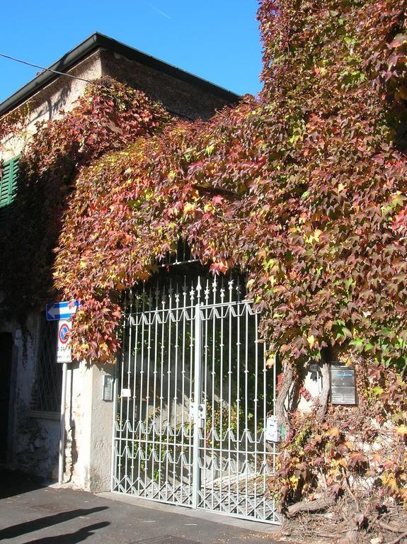Pusiano B&B Leon D'Oro الغرفة الصورة